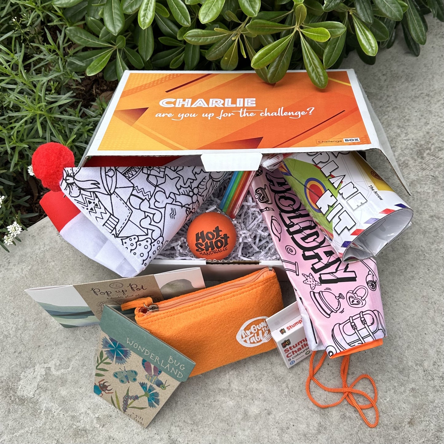 Christmas Holiday Box